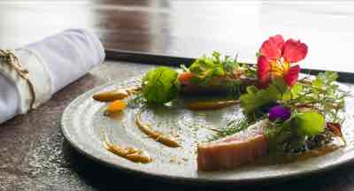 food food