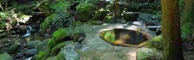 bath bath